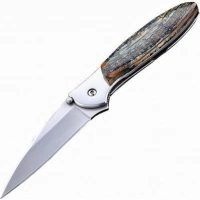 Полуавтоматический складной нож Santa Fe Kershaw Leek, сталь 14C28N, рукоять сталь с накладкой из зуба мамонта купить в Севастополе